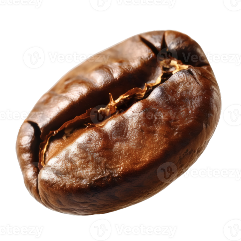 Realistic Coffee Bean with Roasted Brown Texture png