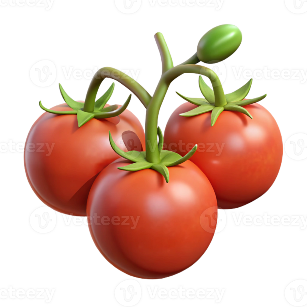 impressive traditional Ripe Tomatoes on Vine Cutout premium png