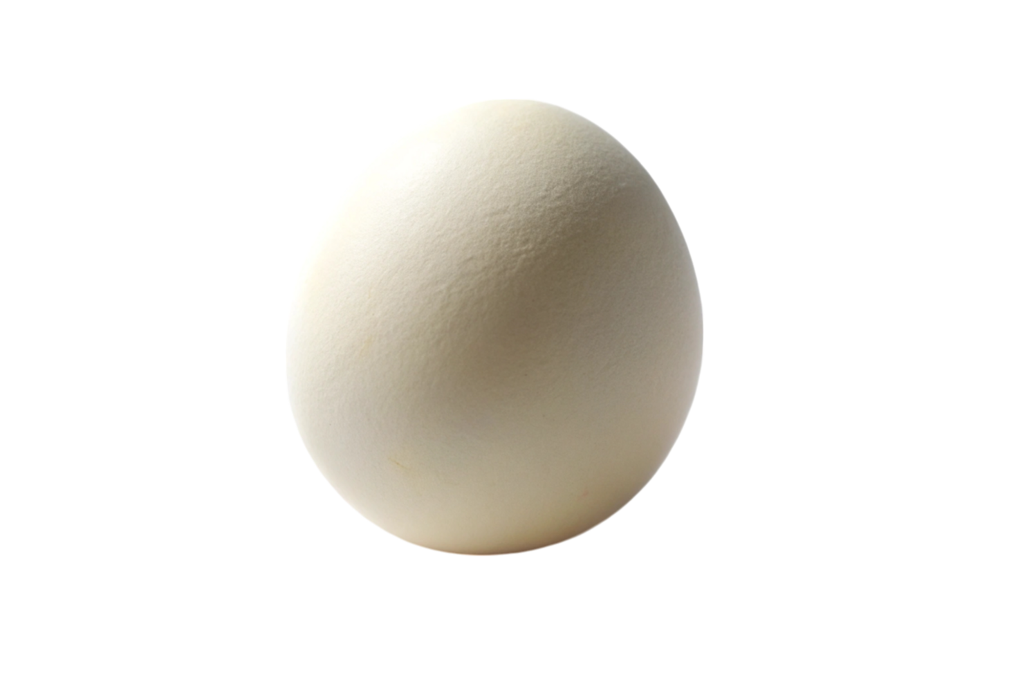 Egg Secrets for Perfect Breakfast Ideas png