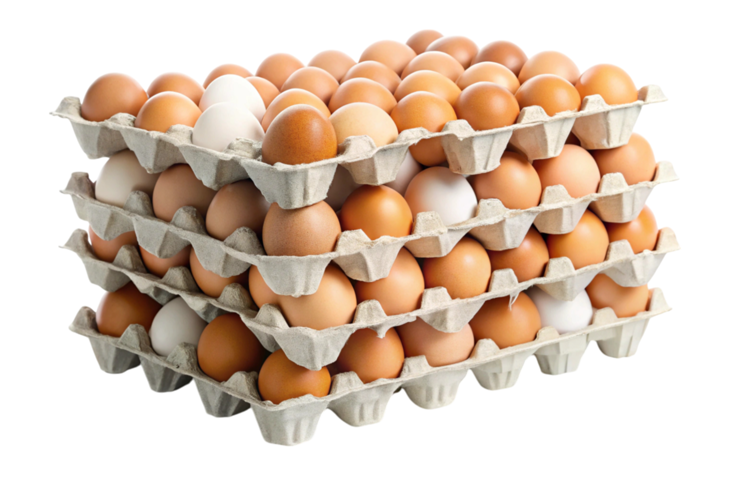 Egg Cartons Creative Ideas for Everyone png