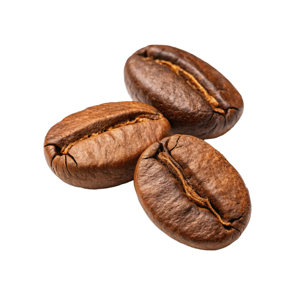 Coffee beans isolated on transparent background png