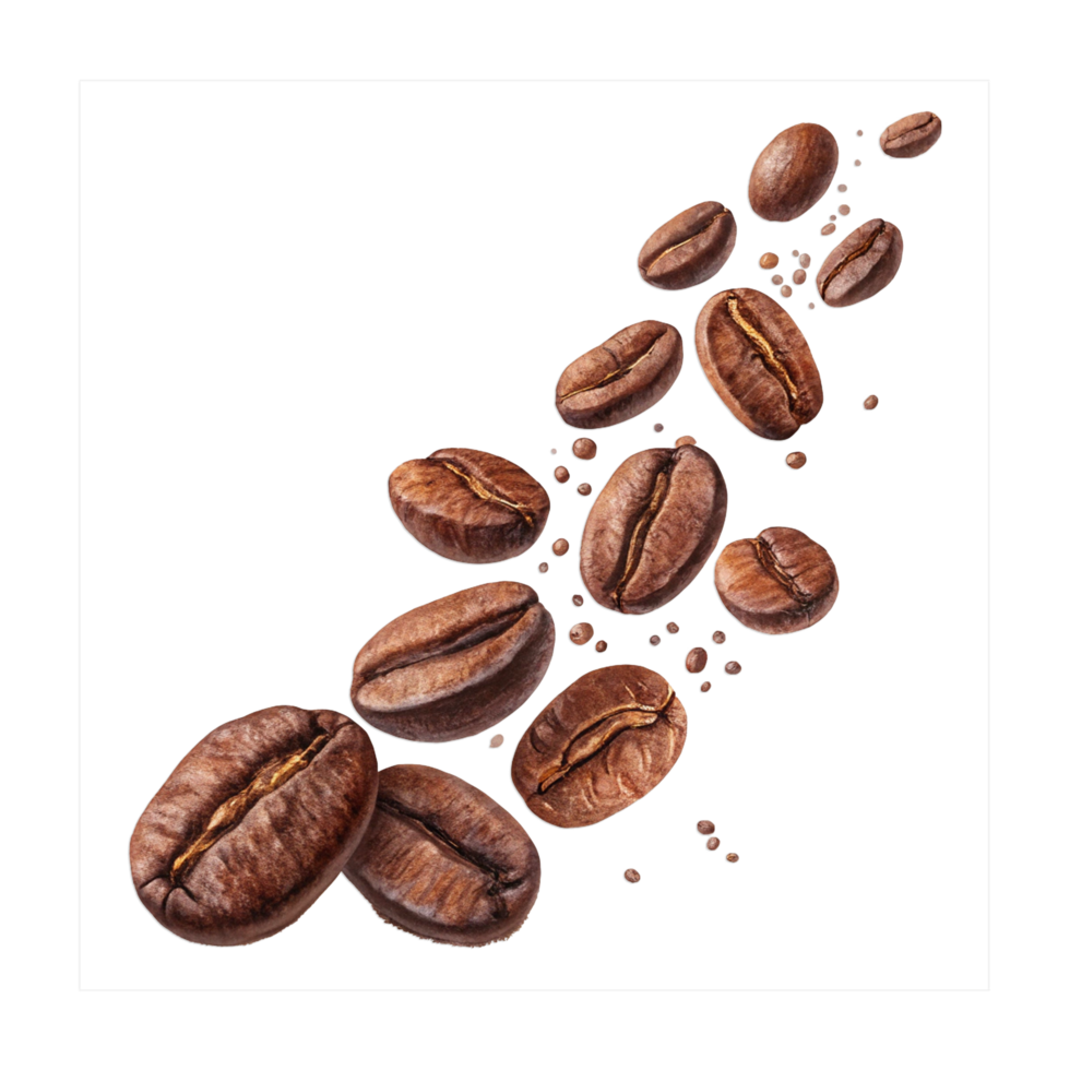 Coffee beans on transparent background png