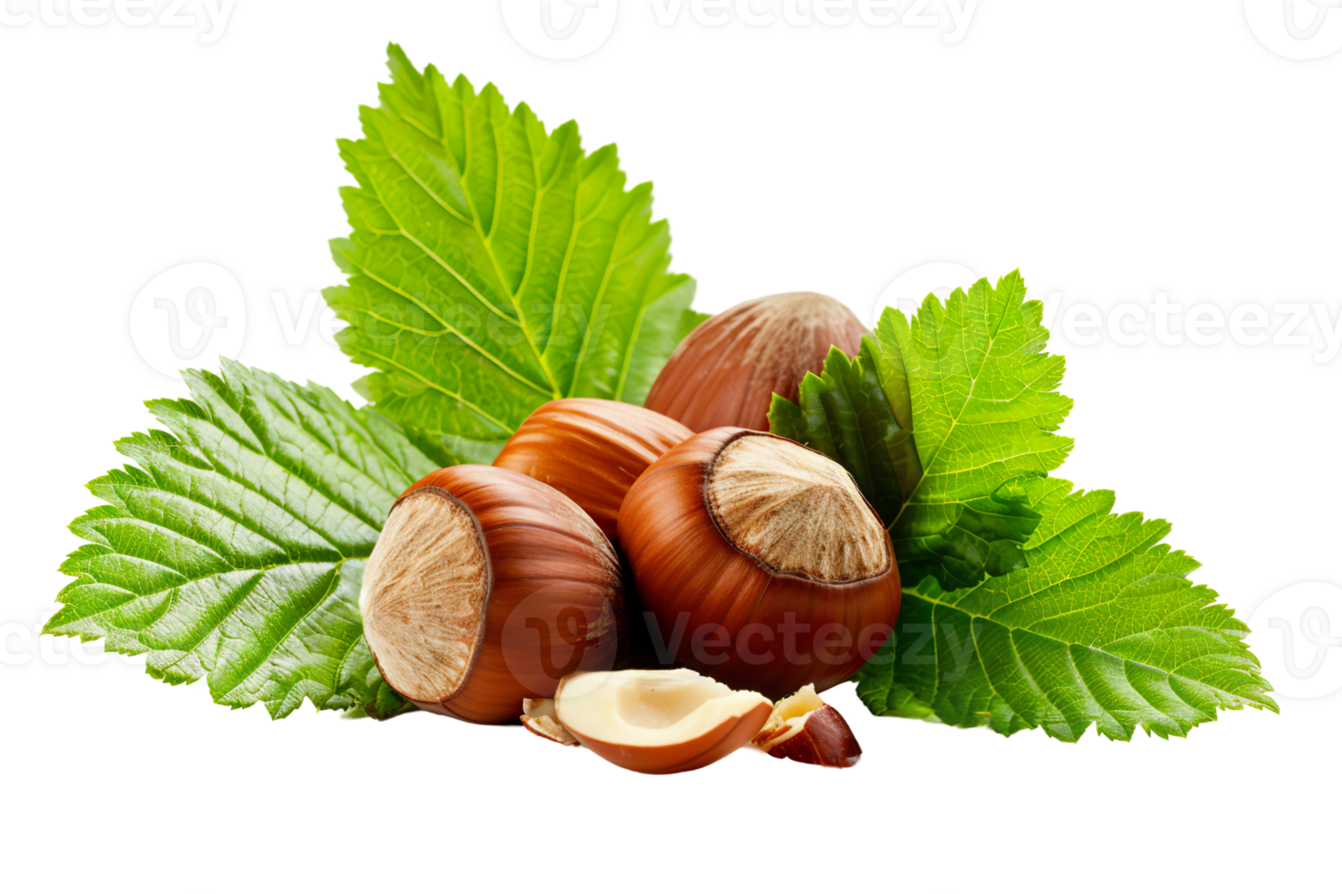 Hazelnut nuts , transparent isolated background. Healthy superfood nut snack. Nutritious, natural, organic food, flavour, cooking ingredient, vitamin mineral source png