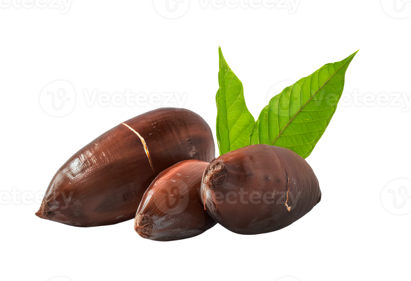 Baru nuts , transparent isolated background. Healthy superfood nut snack. Nutritious, natural, organic food, flavour, cooking ingredient, vitamin mineral source png