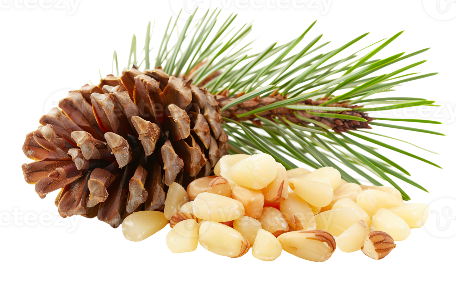 Pine nuts , transparent isolated background. Healthy superfood nut snack. Nutritious, natural, organic food, flavour, cooking ingredient, vitamin mineral source png