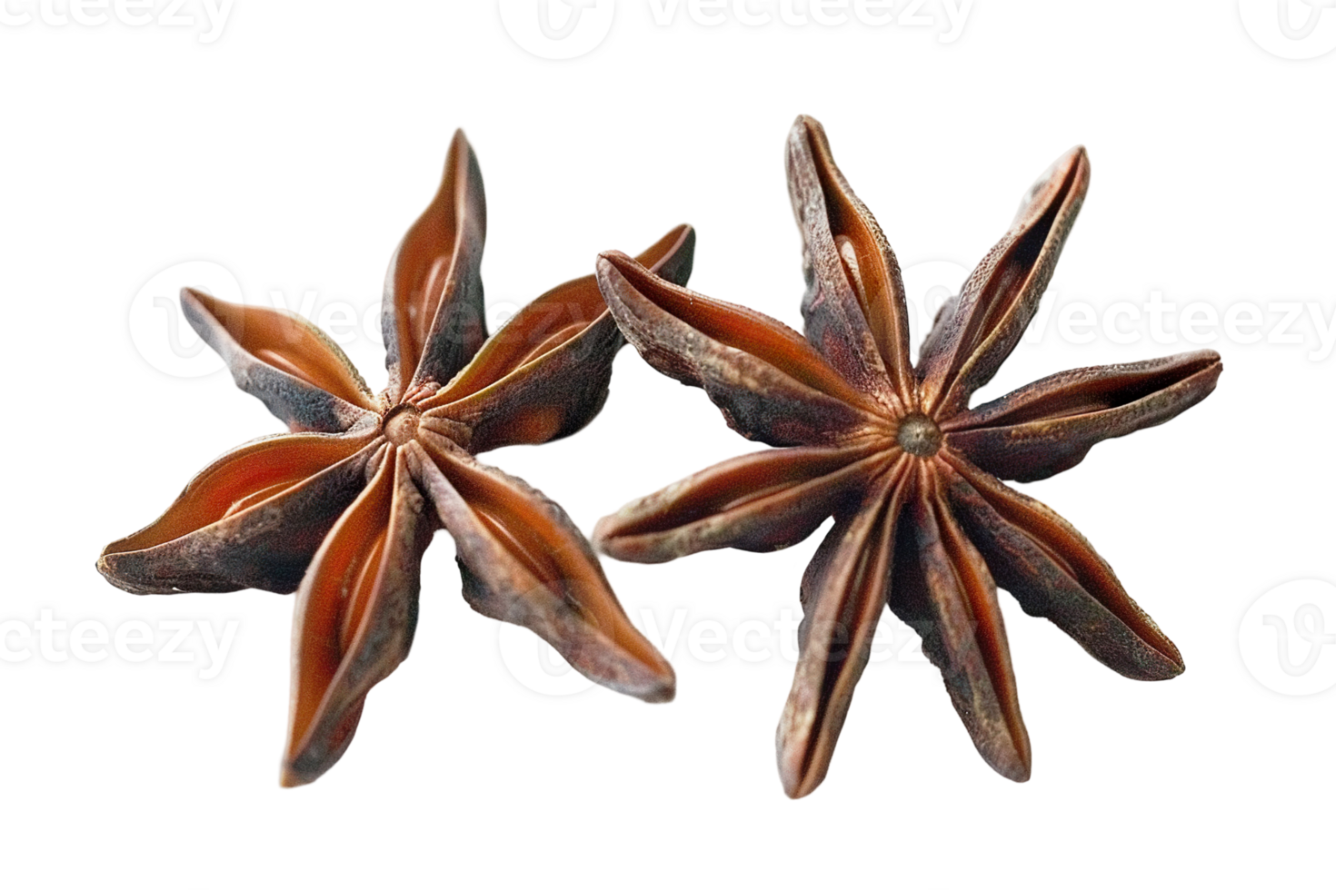 Star Anise pericarp spice , transparent isolated background. Spices, vibrant vivid colorful cooking seasoning ingredient, food flavour graphic element presentation png