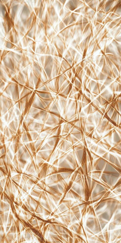 Abstract Interwoven Fibers in Dynamic Light Patterns for Modern Art Book Covers and Backgrounds photo