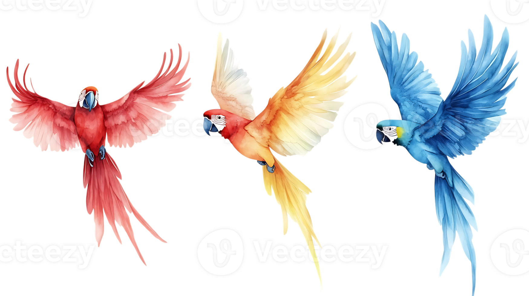 Colorful Set of 3 Macaw Parrots Isolated on Transparent Background png