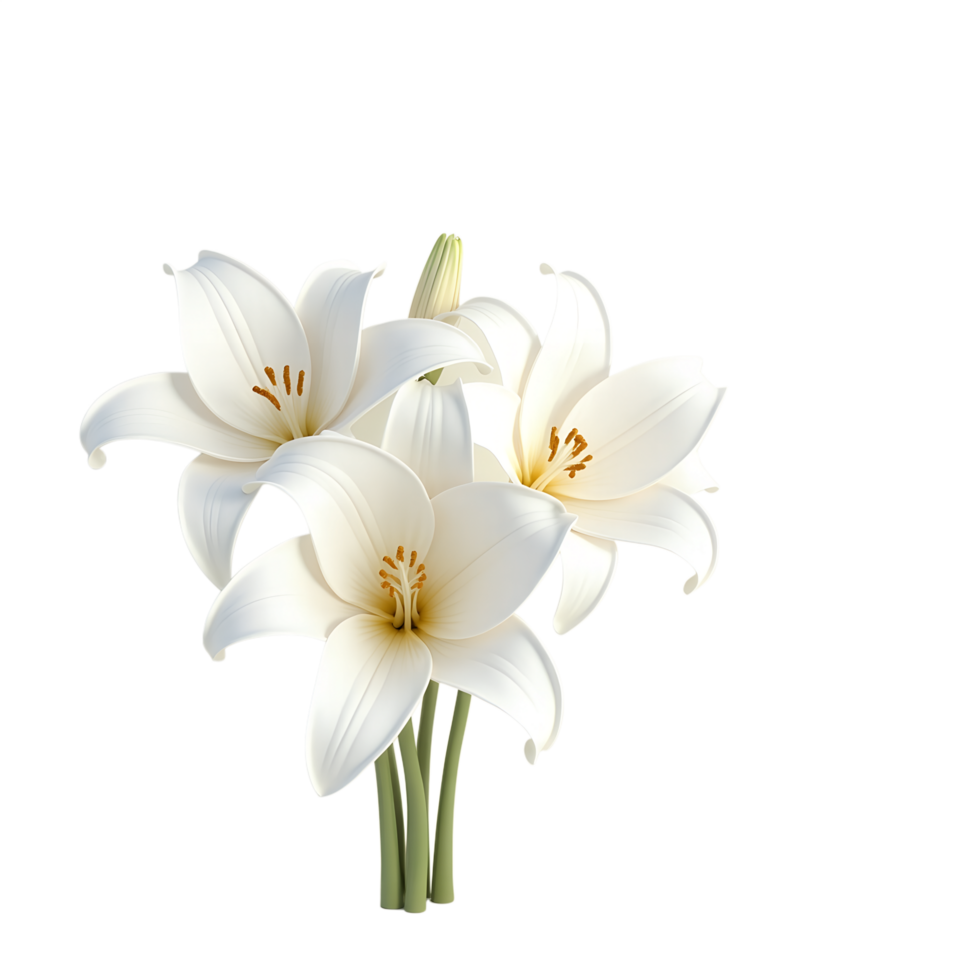 Beautiful White Lily Petals Nature Inspired Stock Photo for Digital Use png