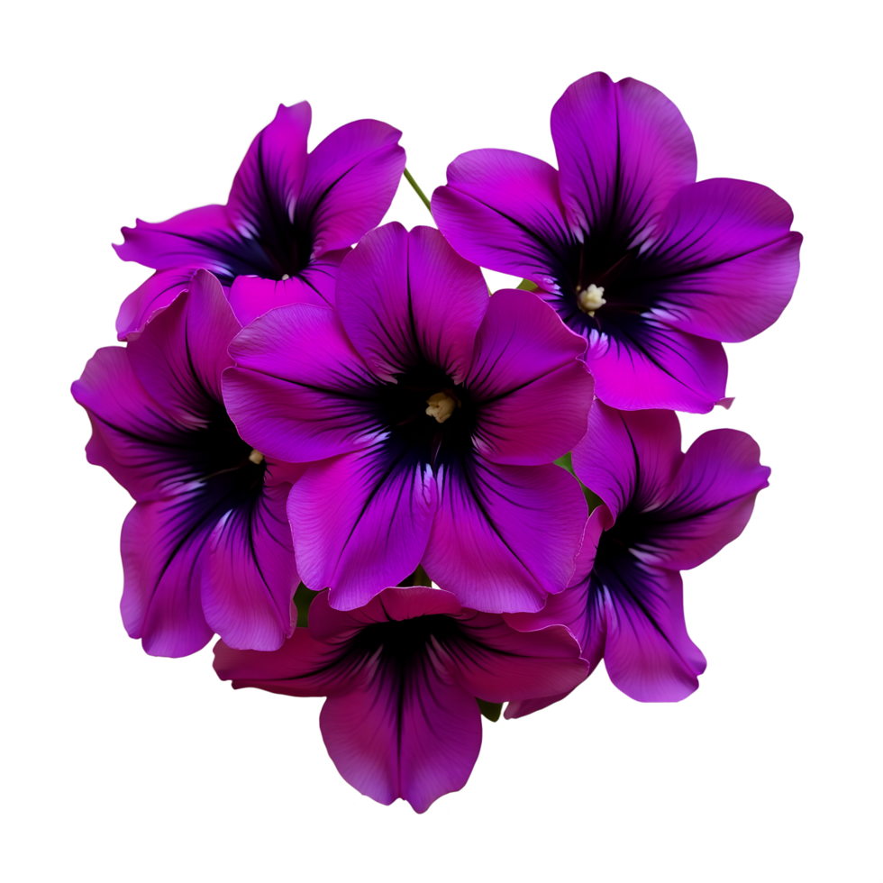 Elegant Purple Petunia Botanical Clipart for Creative Projects png