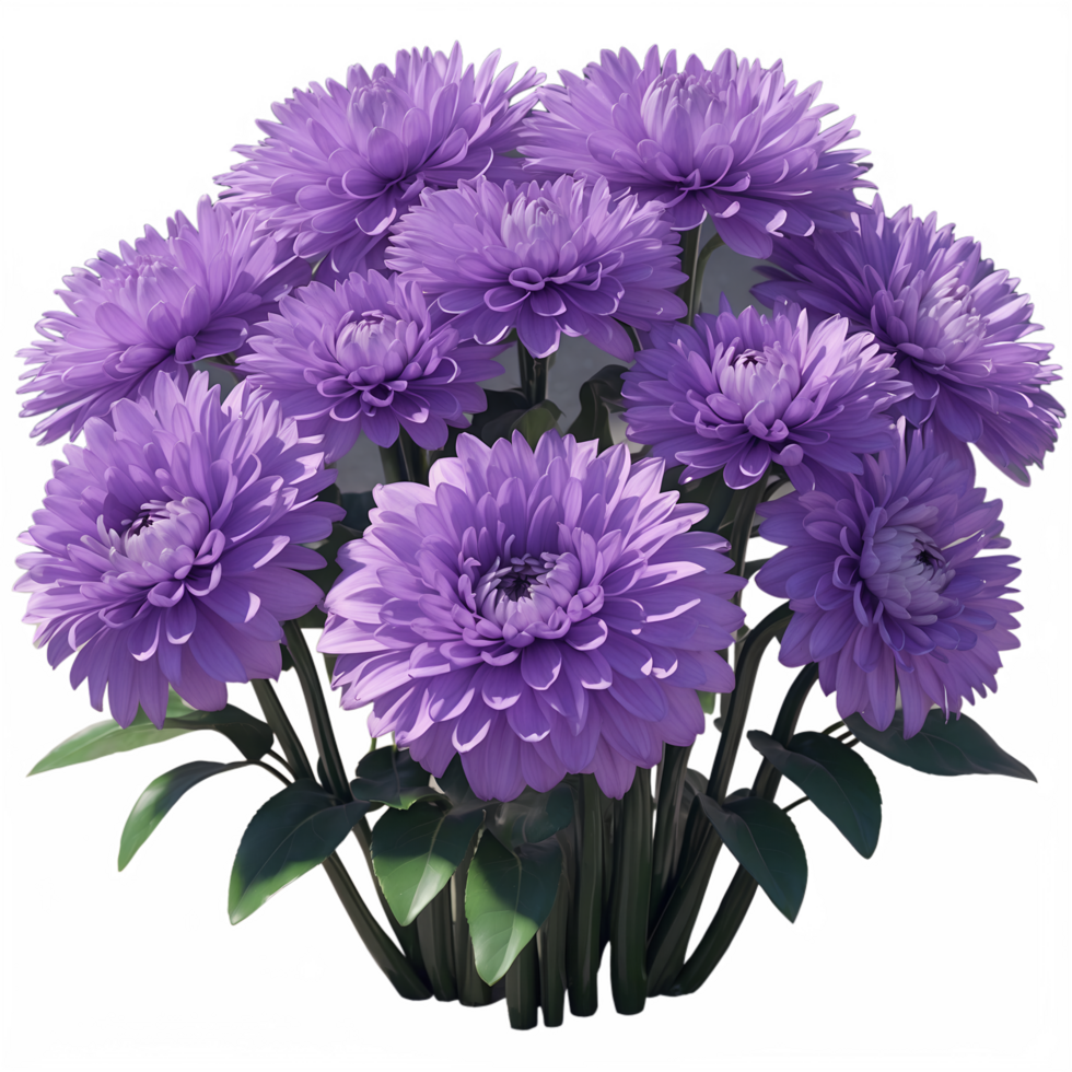 Beautiful Dark Purple Dahlia Blooms Perfect for Floral Artwork Decor png