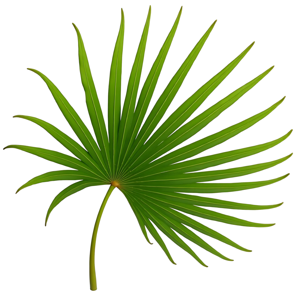 Jungle Vibes Palm Leaf Minimalist Botanical Design Element png