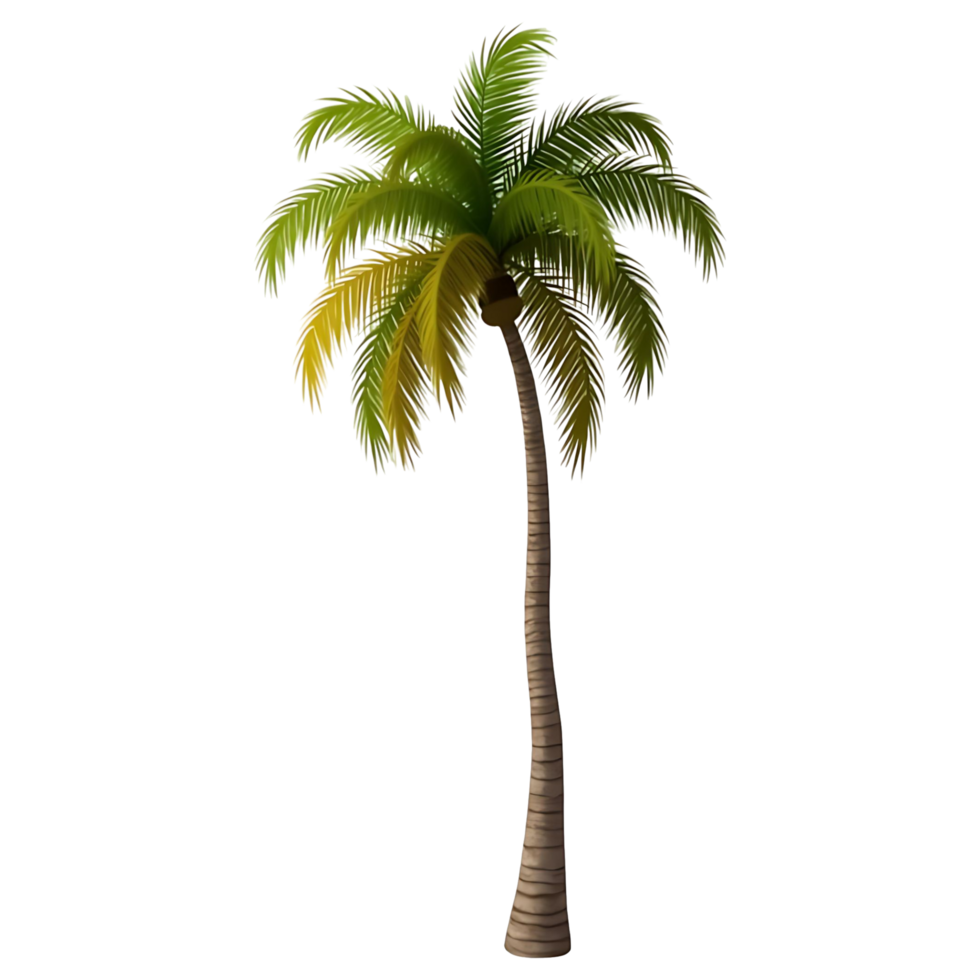 Exotic Palm Tree Grove Perfect for Nature Travel Designs png