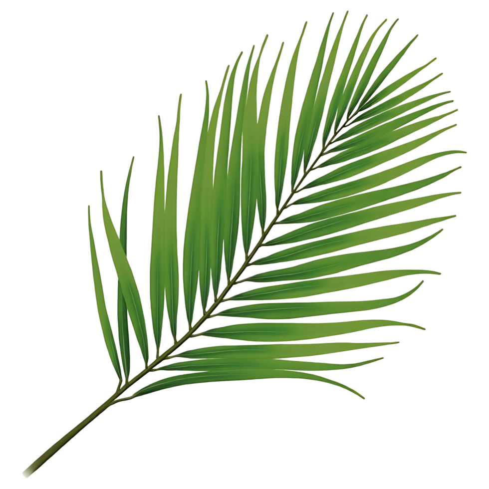 Jungle Palm Leaf Illustration Perfect for Branding and Invitations png