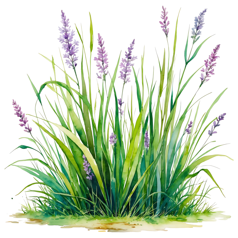 Lush Green Grass Illustration Perfect for Nature Themed Designs png