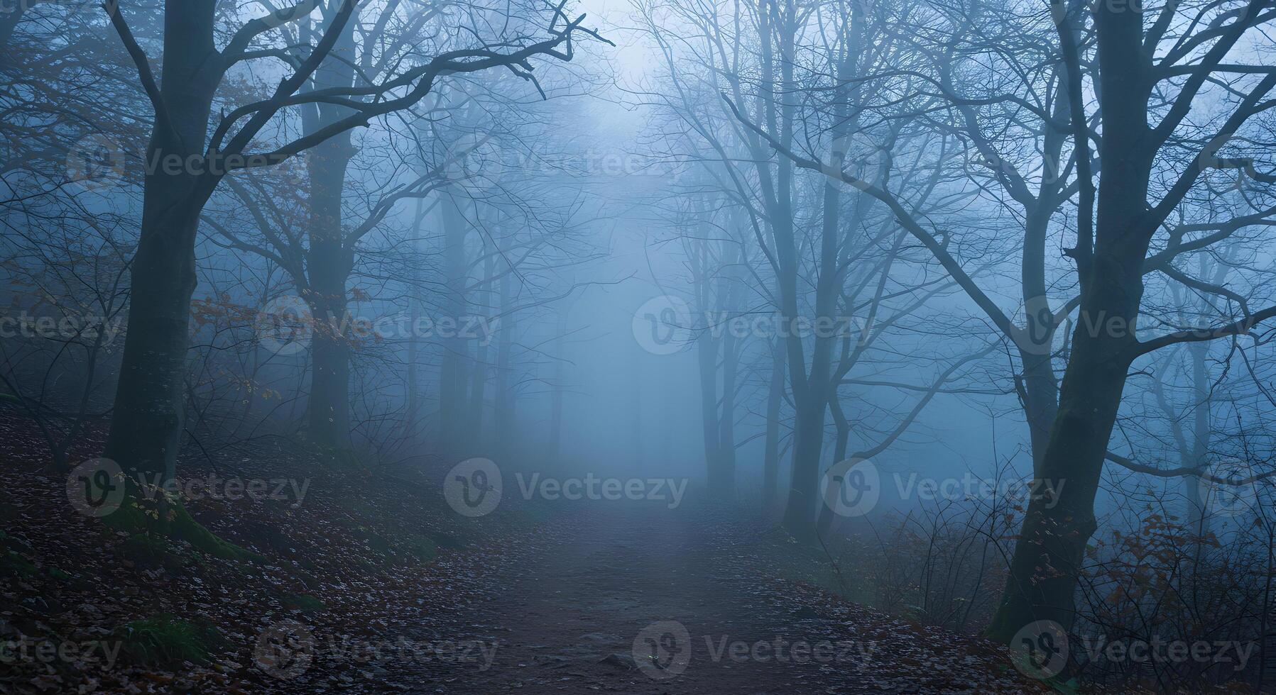 Misty Forest Path Surrounded by Bare Trees in a Cold Foggy Atmosphere photo