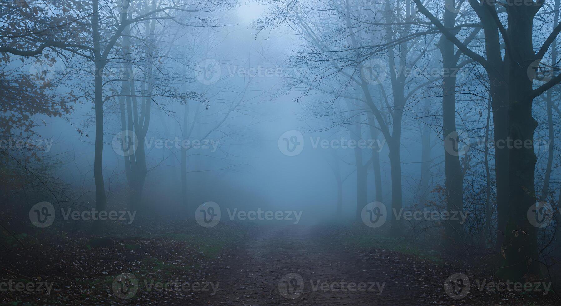 Eerie Woodland Trail Disappearing Into Dense Blue Fog photo