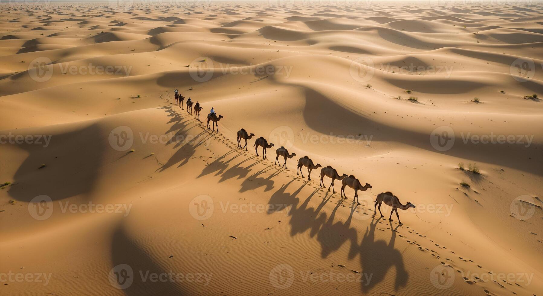Epic Camel Caravan Journey Across the Golden Desert Dunes photo