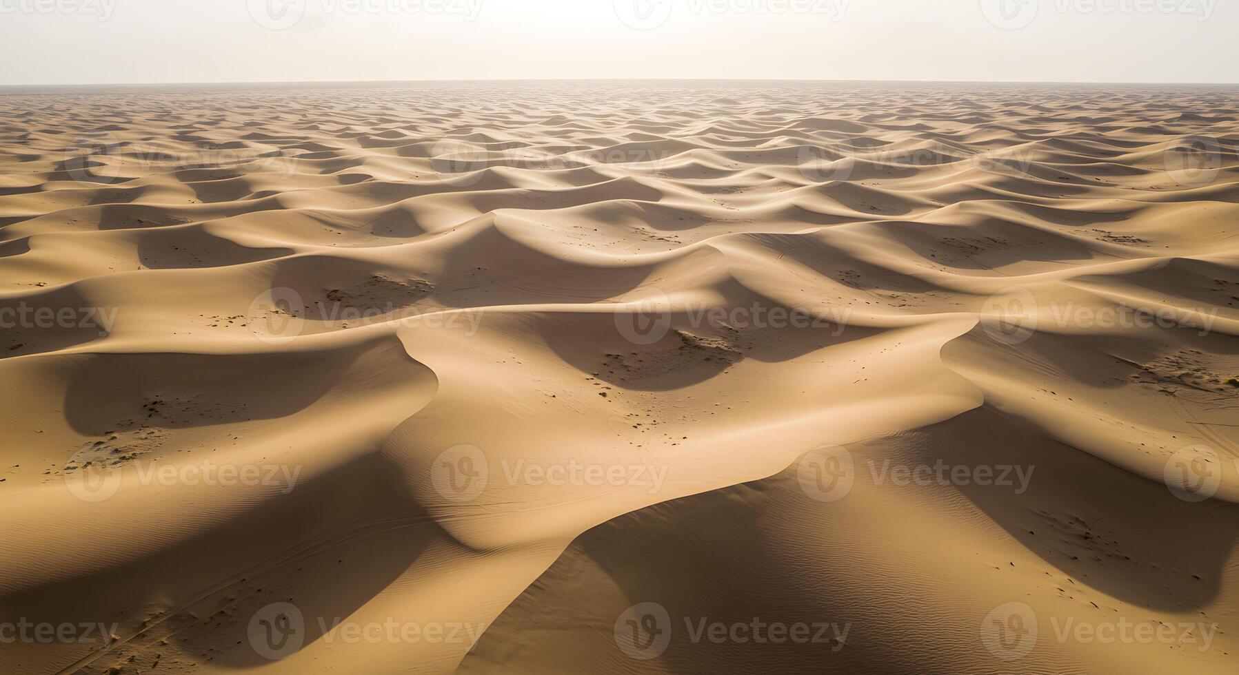 Rippling Desert Landscape With Wind Sculpted Sand Patterns and Light Play photo