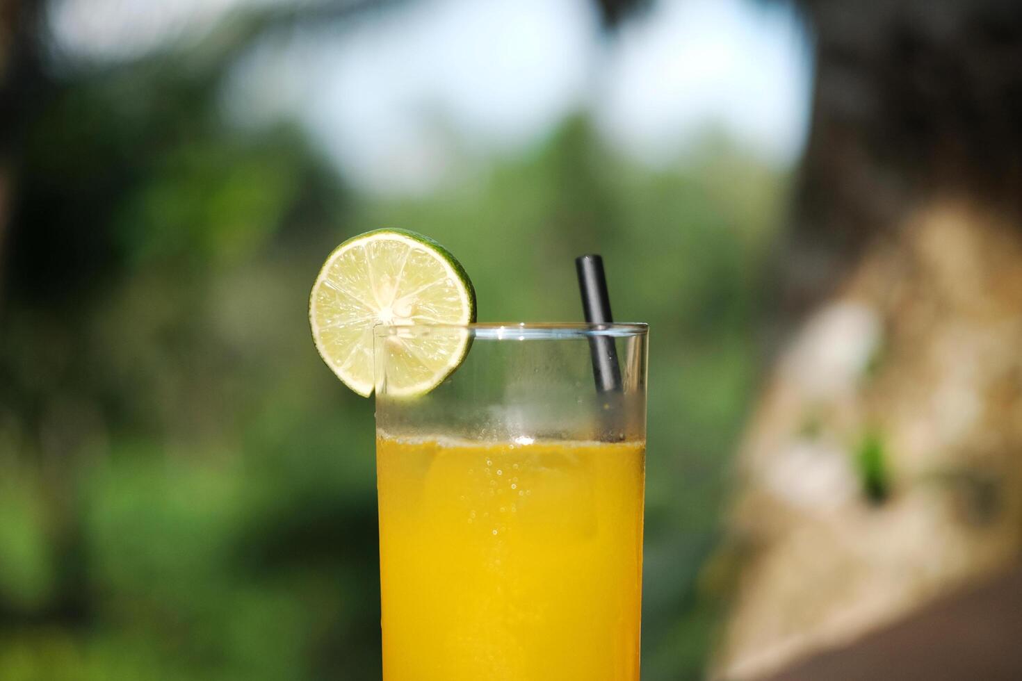 A glass of fresh ice orange juice fruit with lemon piece in natural sunlight and tropical garden photo