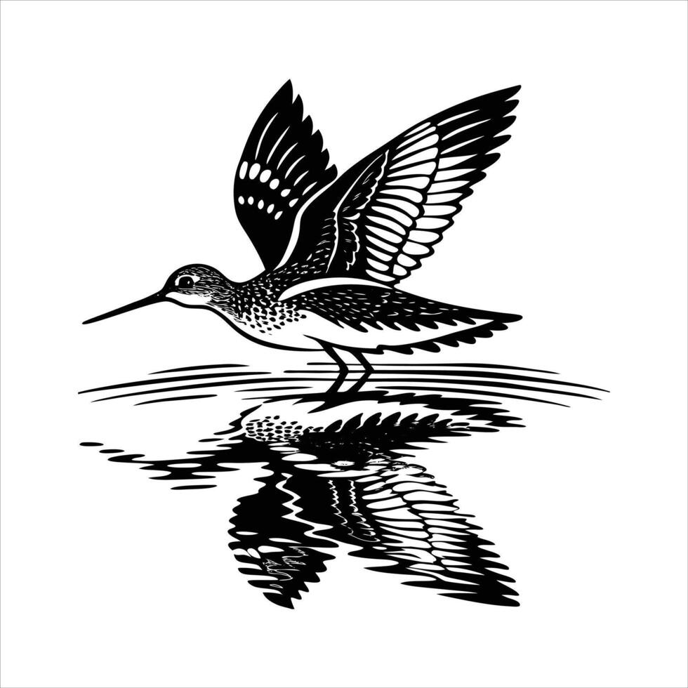 Common Sandpiper Silhouette. vector