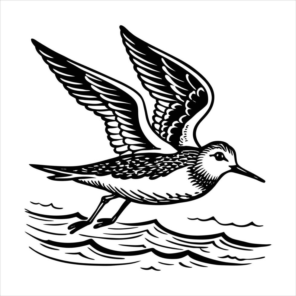 Birds Flying Over Ocean vector