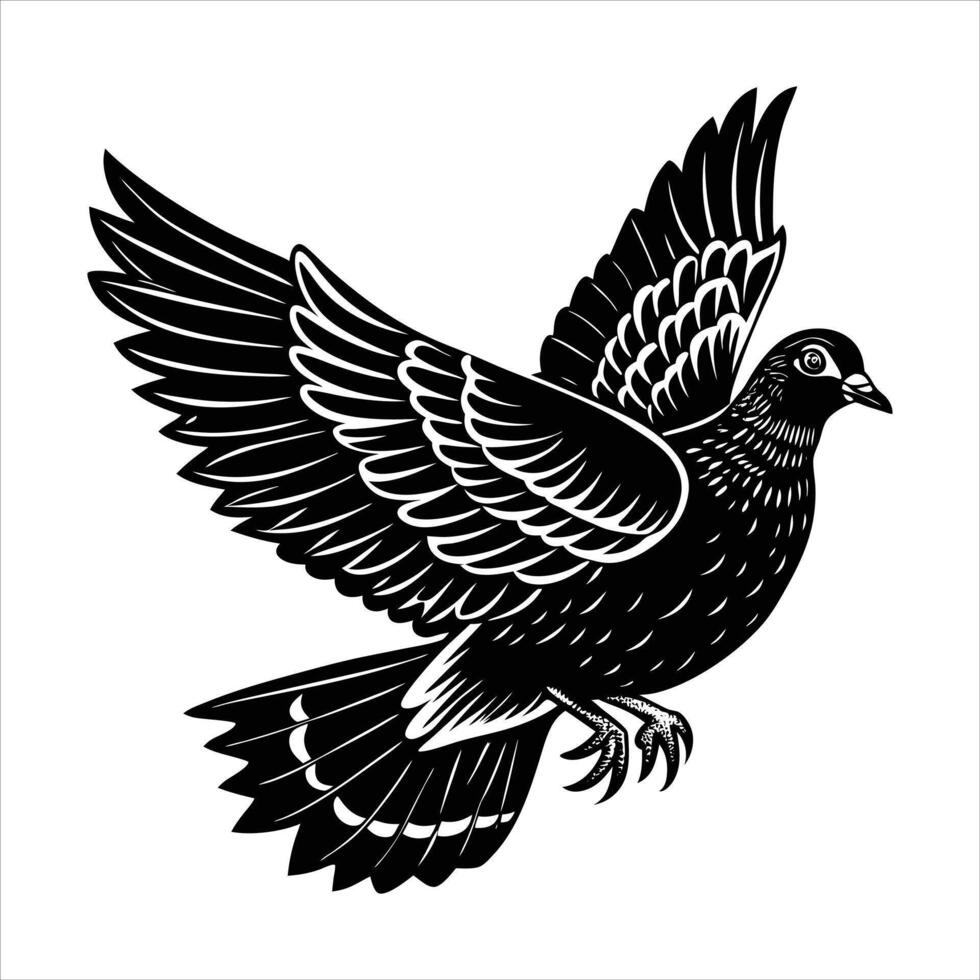 Dove Olive Branch vector