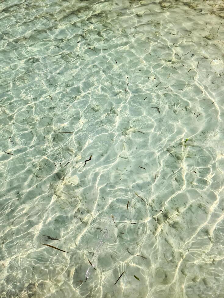 Crystal clear water gently rippling in shallow tropical lagoon photo