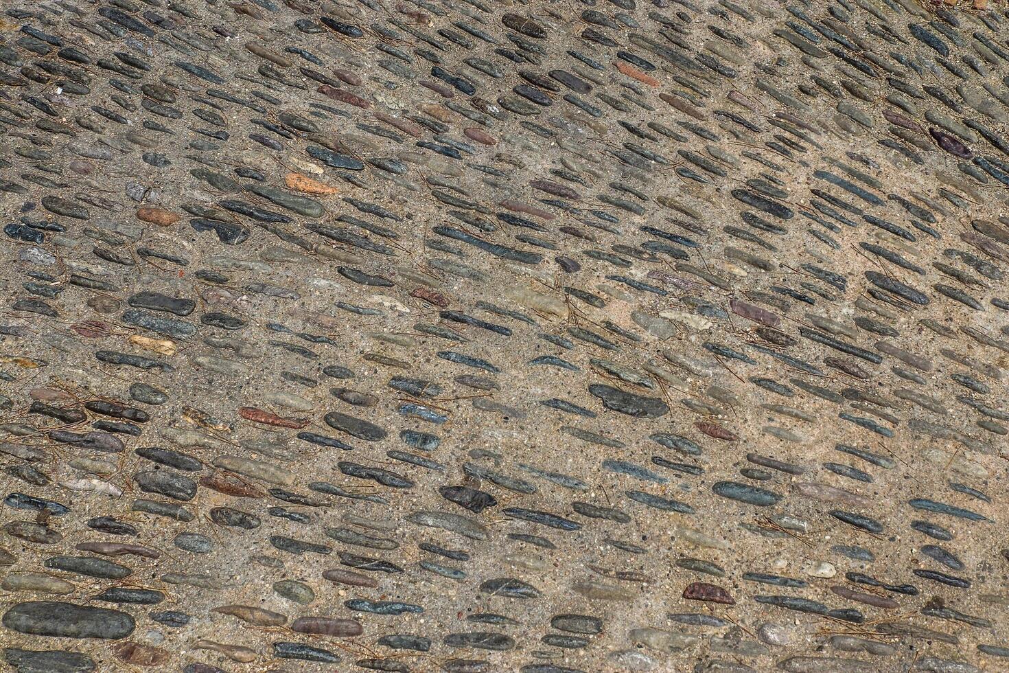 Cobblestone pavement forming an elegant textured surface photo