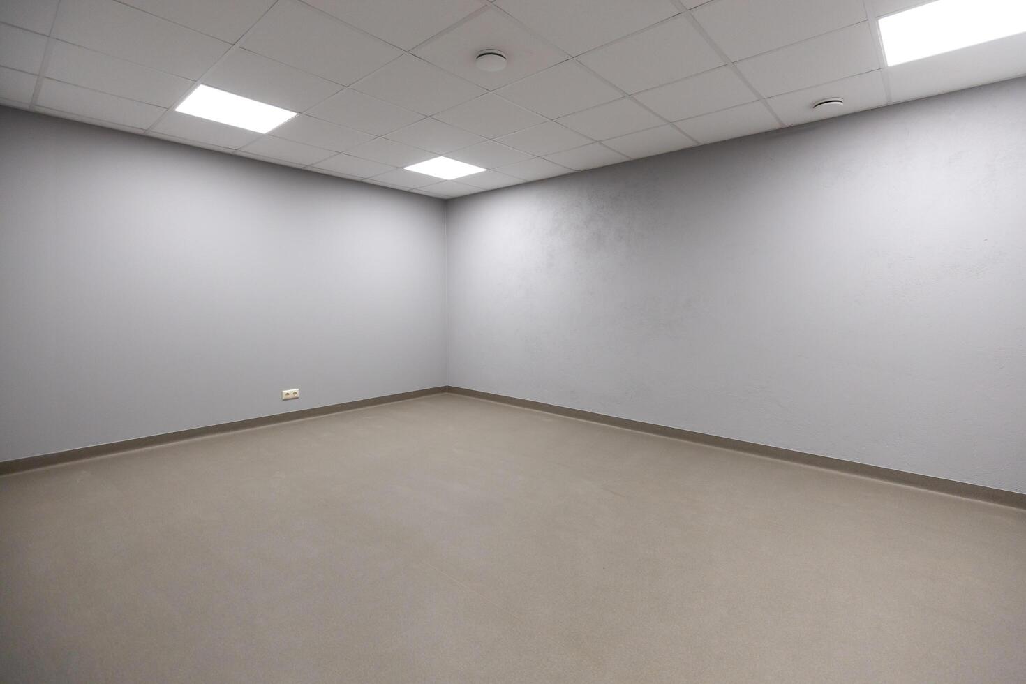 Riga, Latvia, 2024 - Empty Room with Gray Walls and White Acoustic Tile Ceiling photo