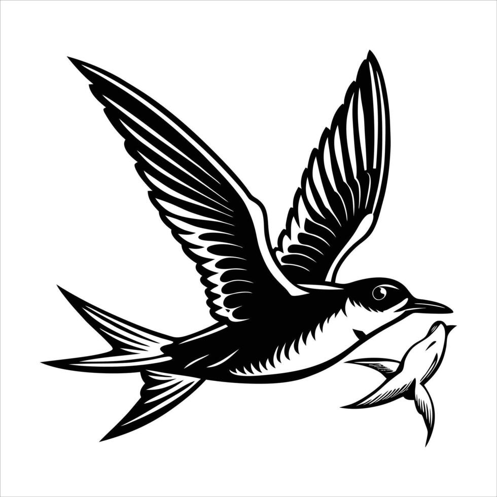 Greater Racket-Tailed Drongo vector