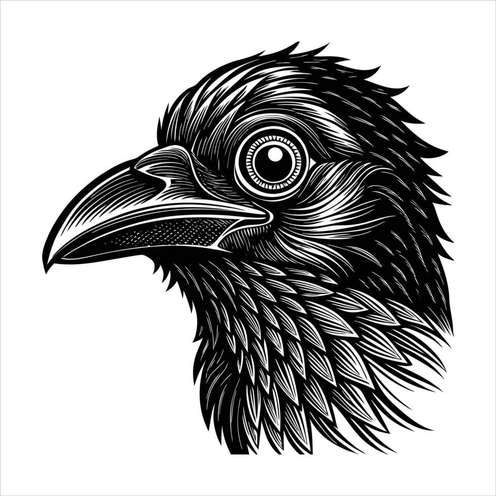 Falcon Head Silhouette vector