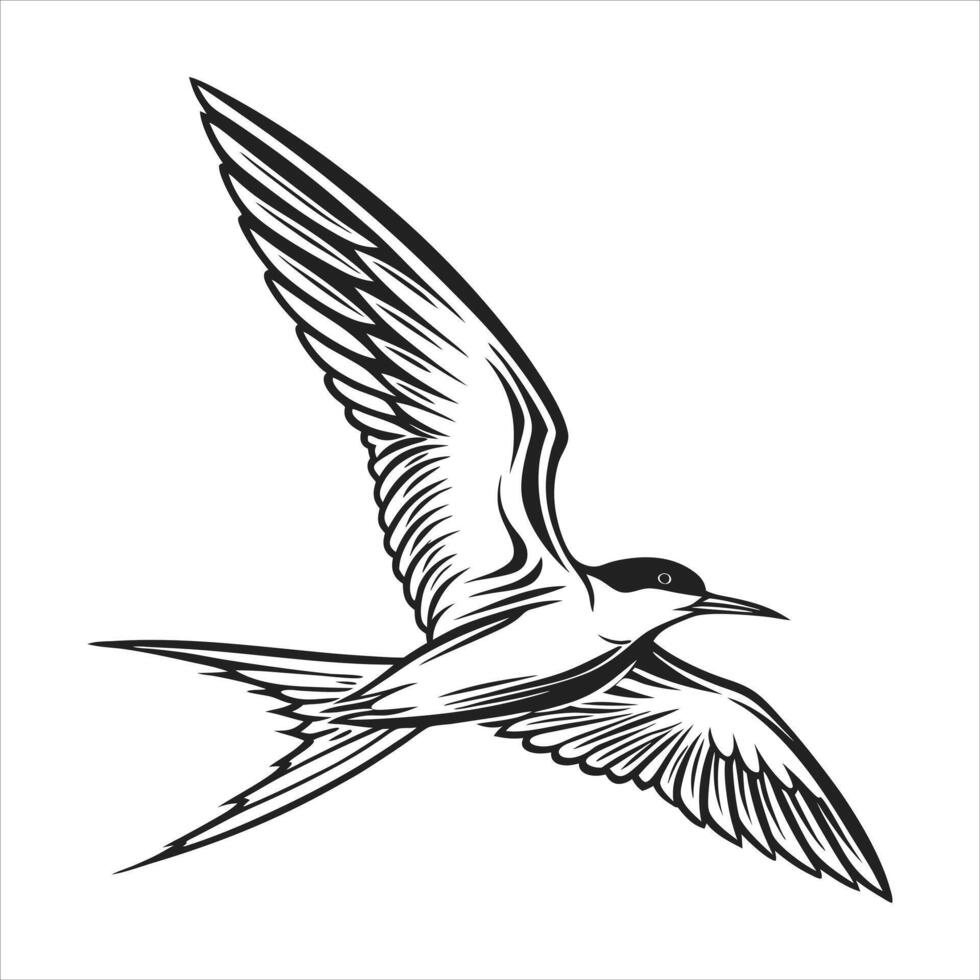 Black skimmer Clip Art Rynchops niger vector