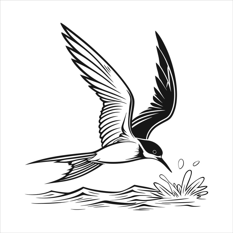 Common Tern Silhouette Sterna hirundo Bird vector