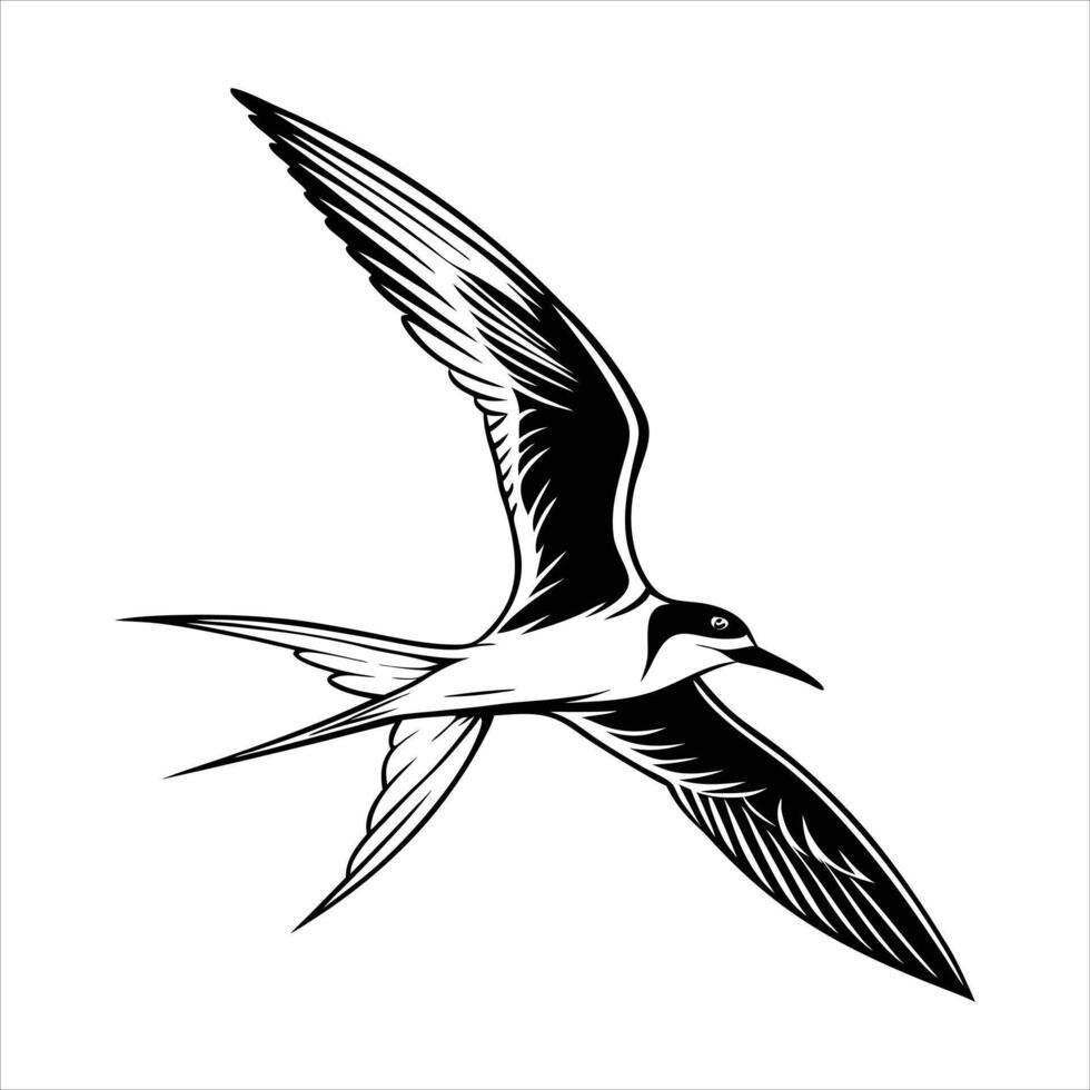 Common Tern Silhouette Sterna vector