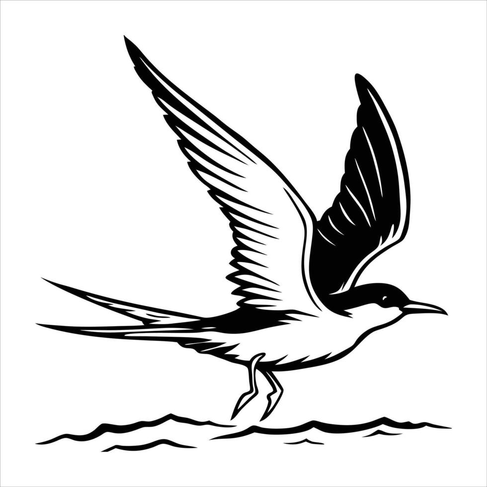 skimmer Clip Art Rynchops vector