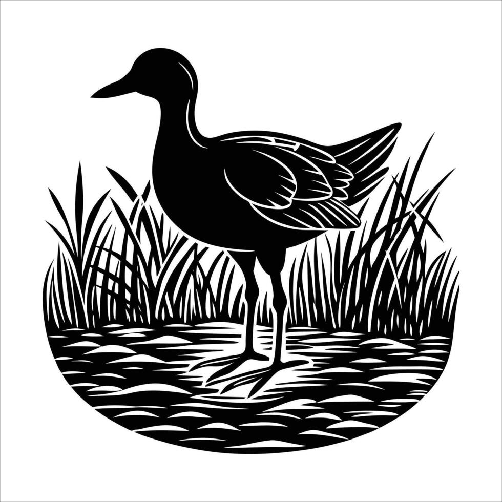 Redlegged Seriema Illustrations vector