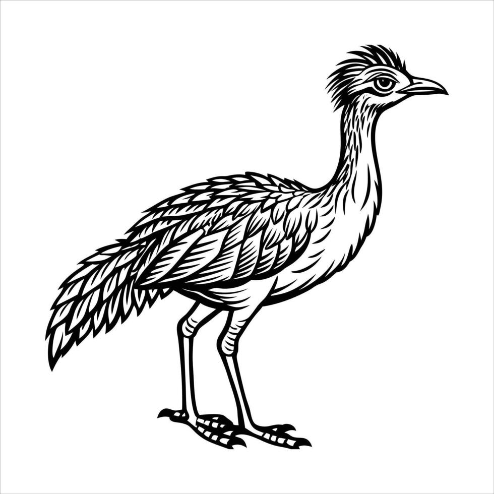 Arabian bustard silhouette vector