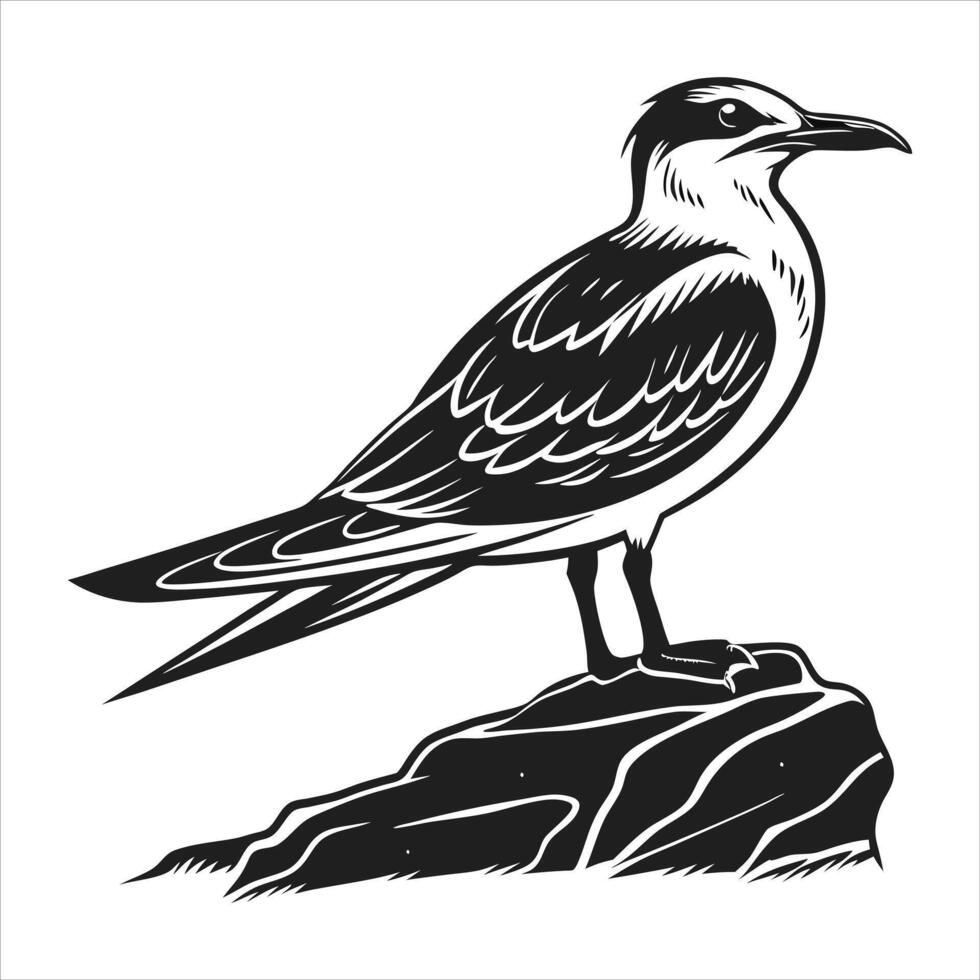 Download Common Tern vector