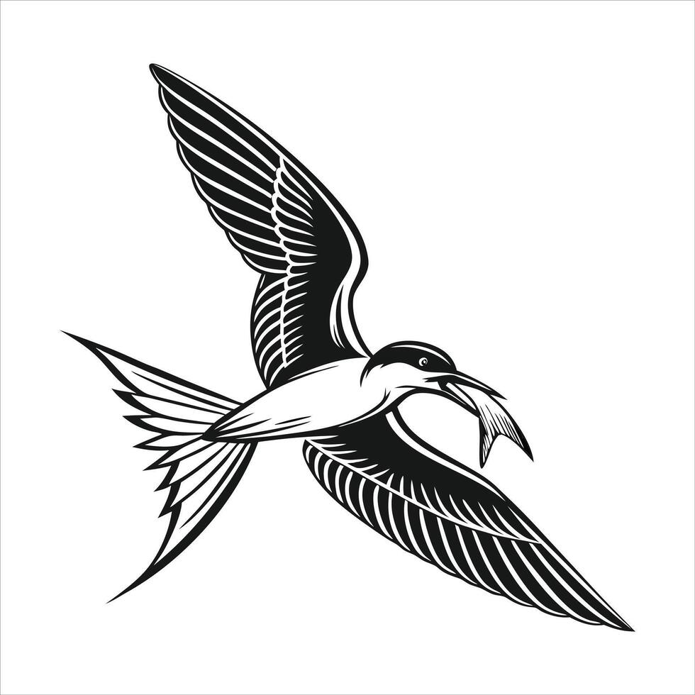 Common Tern Flight vector
