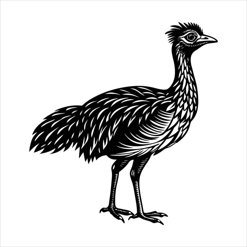 Line art of Cute Emu Rhea vector