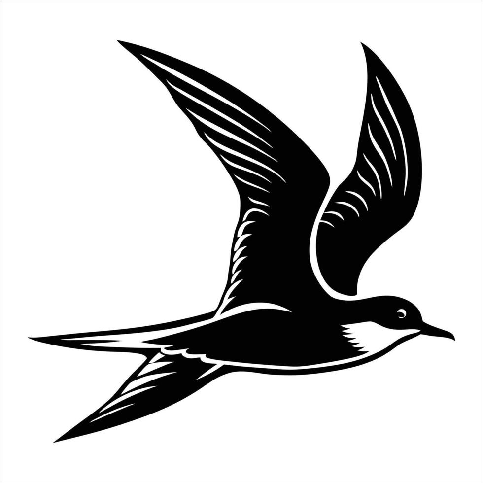 Black skimmer Clip Art Rynchops vector
