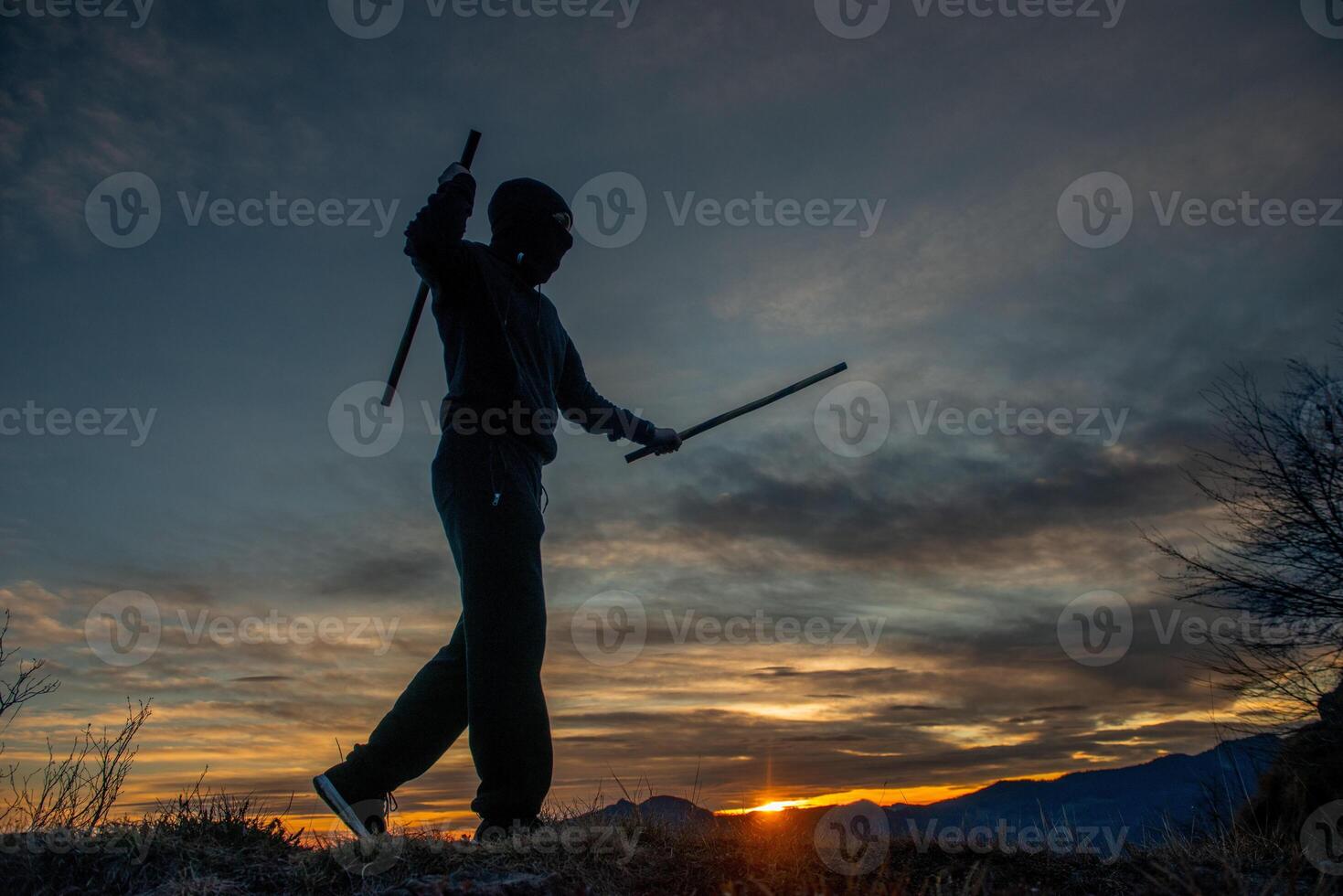 Stick Weapons Combat Training photo