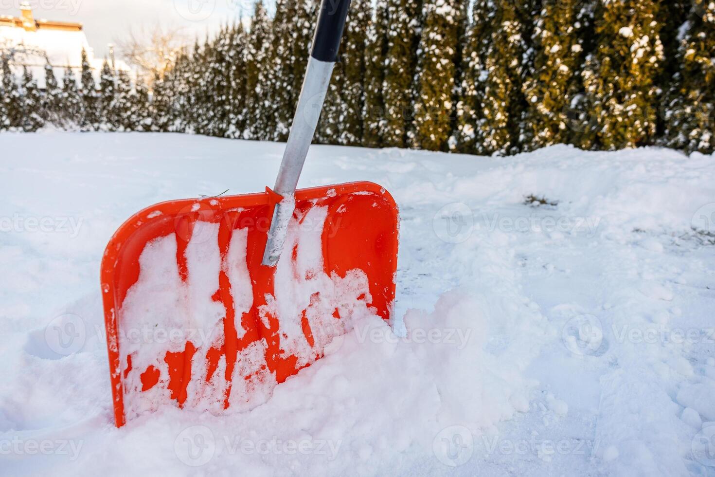 Orange Snow Shovel in Fresh Snow with Evergreen Trees in Background photo