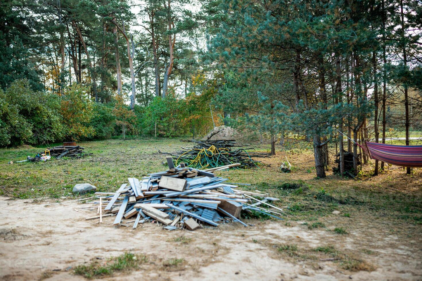 Forested Area with Clearing and Discarded Materials in Rural Setting photo