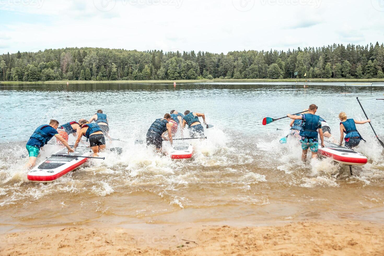 Group Launching Paddleboards into a Calm Lake with Forest Backdrop photo
