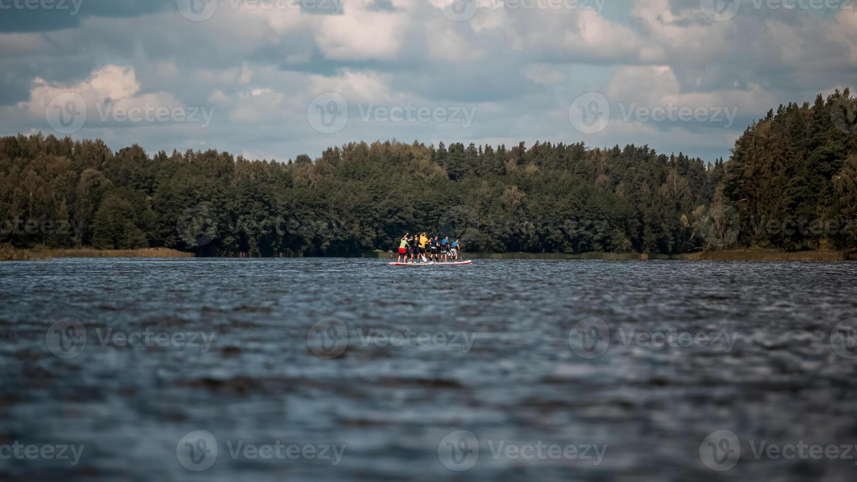 Group Paddleboarding on a Wide Body of Water with Forested Shoreline photo
