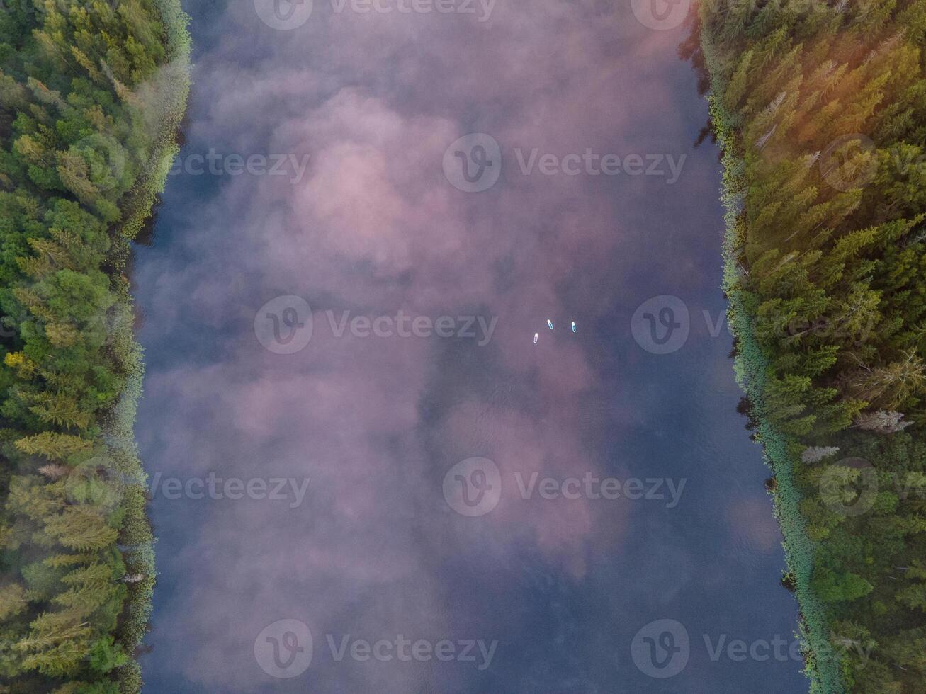 Aerial View of a Calm River with Dense Forests and White Birds photo