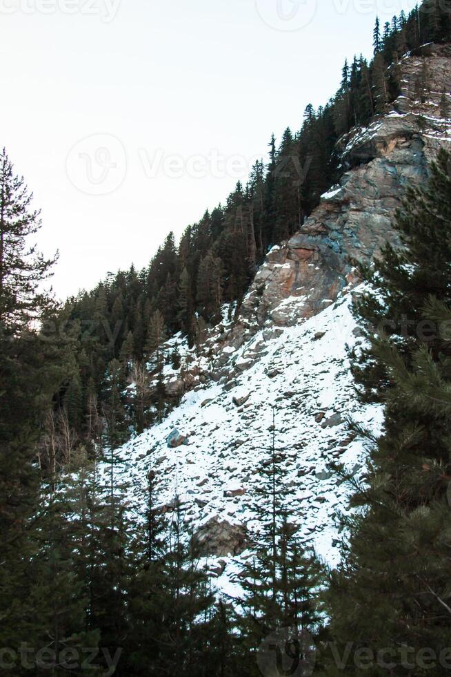 Snow Covered Mountainside with Evergreen Trees and Exposed Rock photo