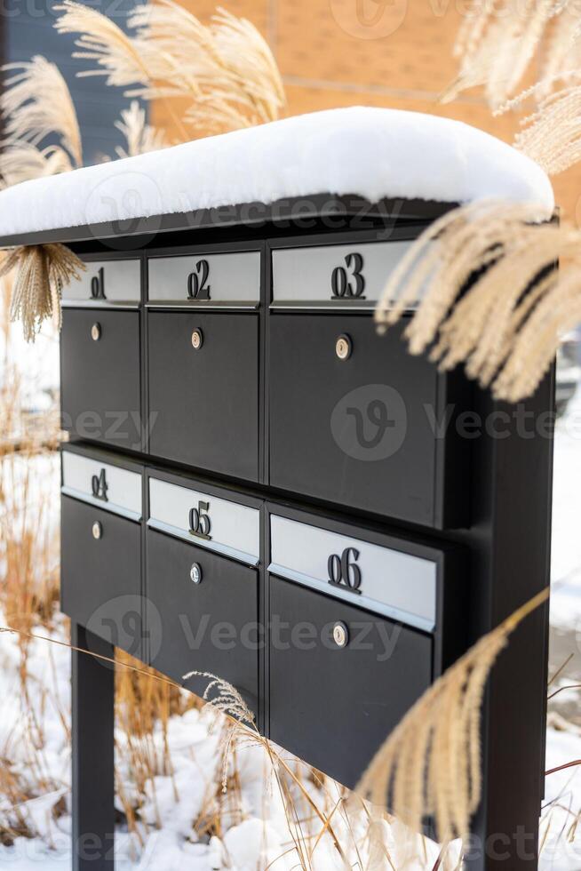 Black Metal Mailbox with Snow and Dried Grasses in Winter Setting photo